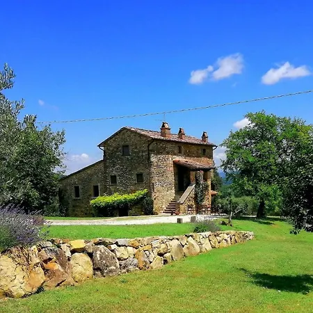 Acadirospi Città di Castello