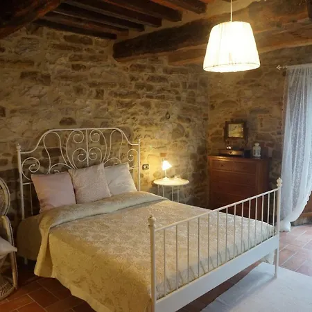 Acadirospi Citta di Castello